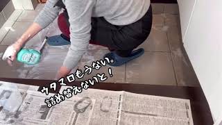 【年末大掃除】玄関のタタキをウタマロクリーナーで掃除