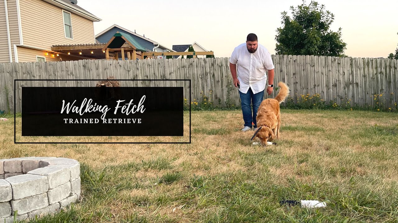 Walking Fetch | Trained Retrieve