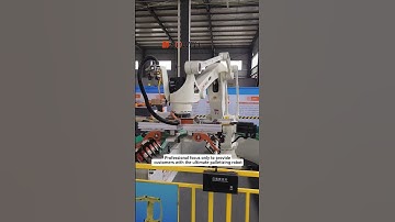 Professional focus only to provide customers with the ultimate palletizing robot#industrial