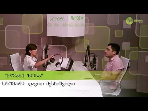 კვლევა-ტექნიკური ინსპექტირების რეფორმის ეფექტიანობის შეფასება და მისი შესაბამისობა ევროდირექტივასთან