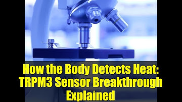 How the Body Detects Heat: TRPM3 Sensor Breakthrough Explained
