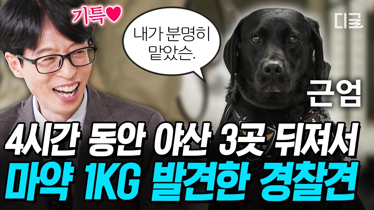 [#유퀴즈온더블럭] 위대한 '개코'로 대한민국을 지킨다⁉ 땅에 묻힌 마약 1KG 찾아낸 마약 탐지견🐶