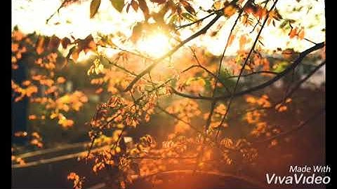 ماتيسر من سورة الحجر بصوت الشيخ هزاع البلوشي