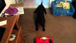 Java sweeper.MP4