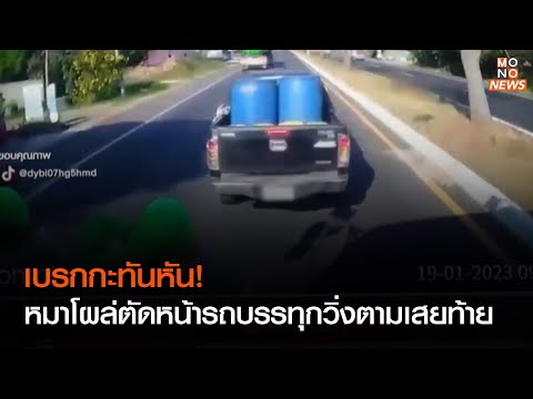 เบรกกะทันหัน! หมาโผล่ตัดหน้า รถบรรทุกวิ่งตามเสยท้าย | เรื่องเด่นประเด็นดัง TopTalk | 20 ม.ค. 66