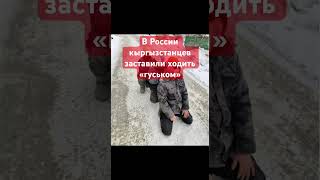 В Екатеринбурге мигрантов заставили ходить «гуськом». На видео есть трое кыргызстанцев.