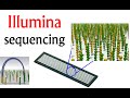 Illumina sequencing  dna sequencing by synthesis