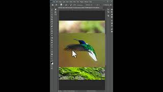 Photoshop AI Failed | The Best Way to Remove White Backgrounds in 2026 #tutorials #photoshop #tips