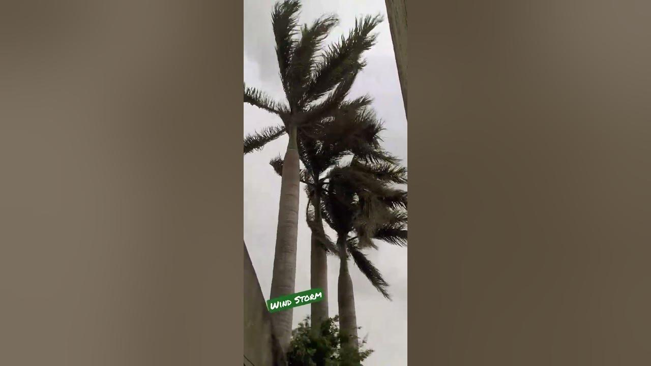 heavy-wind-storm-after-hot-day-cold-eveing-friends-shortsvideo