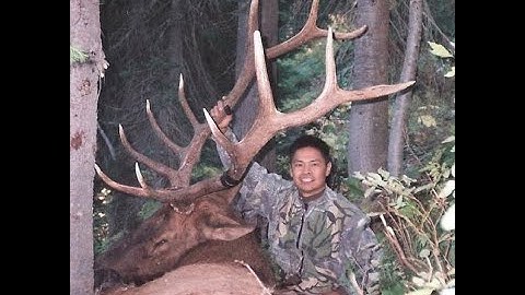 Elk Calling Educational Video 1 Part 1 Intro 1 "Why Now?" By Indigenous Mountain People Hunting