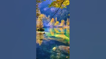 روائع المنشاوي سورة ق (وَلَقَدْ خَلَقْنَا الْإِنْسَانَ ونَعْلَمُ مَا تُوَسْوِسُ بِهِ نَفْسُهُ)