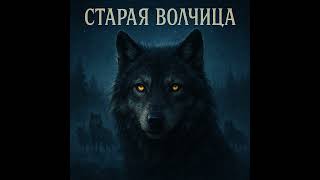 картинка: Старая волчица