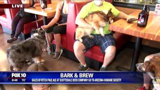 Bark and Brew