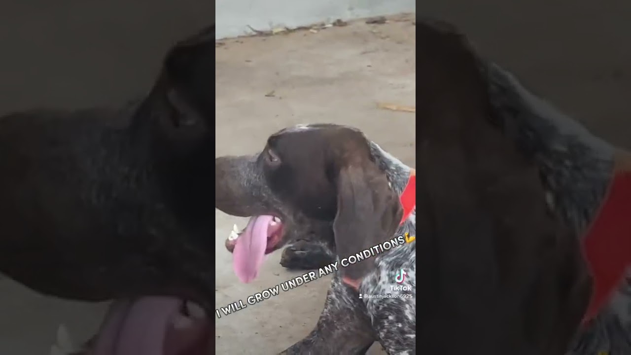 i think im allergic to štap-waterš„ŗ - YouTube