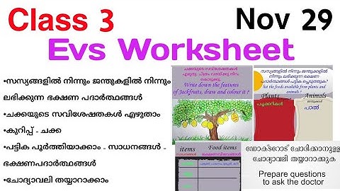 class 3 evs worksheet 29/11/21/ Std 3 Evs Worksheet Nov 29/3 class evs worksheet/3 std evs worksheet