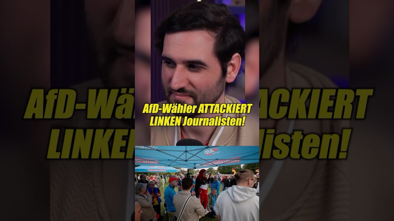 AfD Wähler ATTACKIERT Linken Journalsiten!