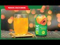 Vinut  papaya juice drink 111 fl oz