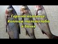 Горячее копчение  Коптим толстолоба в бочке