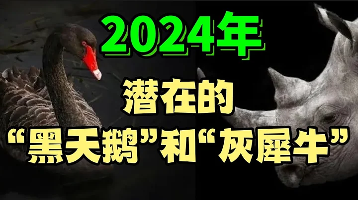 ✨ 2024年，潛在的「黑天鵝」和「灰犀牛」... - 天天要聞