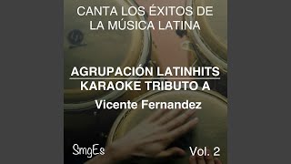 Video thumbnail of "Agrupacion LatinHits - Hermoso Cariño"