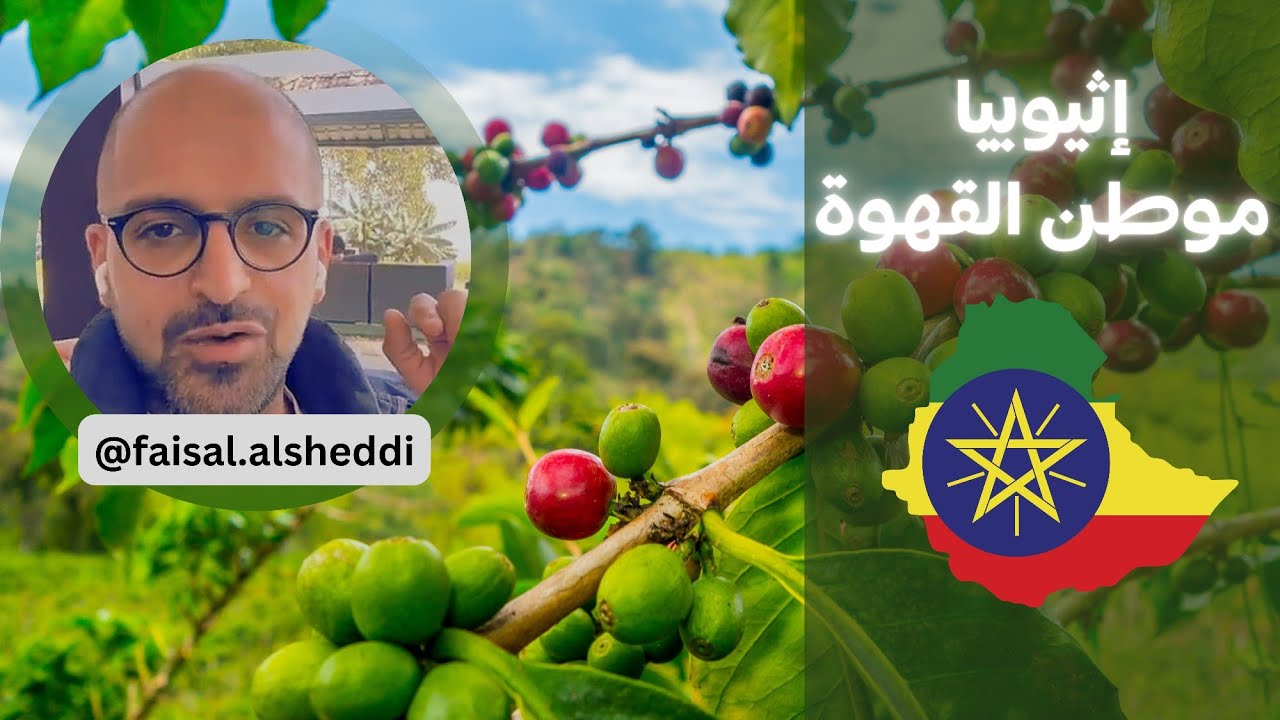 رحلة إلى مراكز معالجة القهوة في إثيوبيا