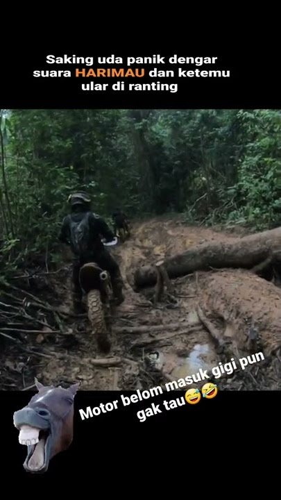 panik dengar suara harimau dan ketemu ular di ranting, saat #trabas