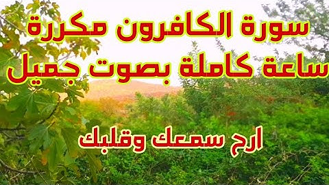 سورة الكافرون مكررة ساعة كاملة surat al kafiroun