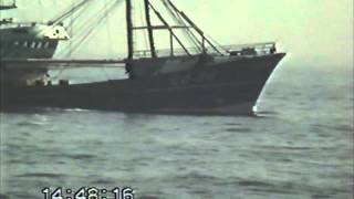 Go28 Op Hoop Van Zegen Bj.1987