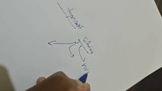 Day 10 user input understanding ...python coding learning 