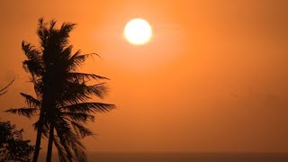 Download Lagu Lombok quake sends shudders through tourist industry MP3