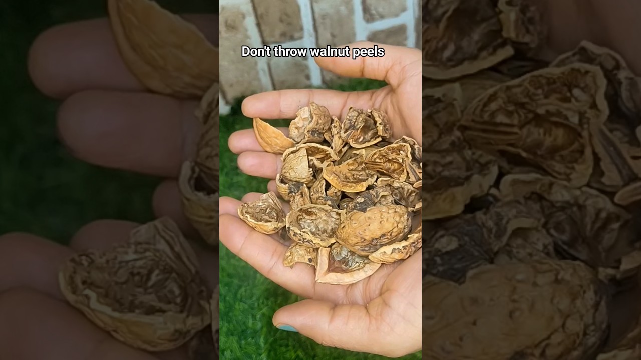 Don't throw walnut shells