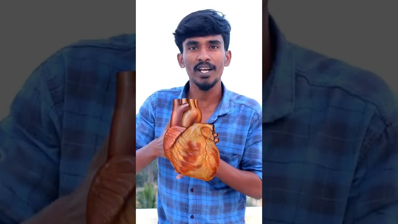 Famous Indian Beer Highest Alcohol Percentage shorts YouTube Famous Indian Beer Highest Alcohol Percentage shorts YouTube