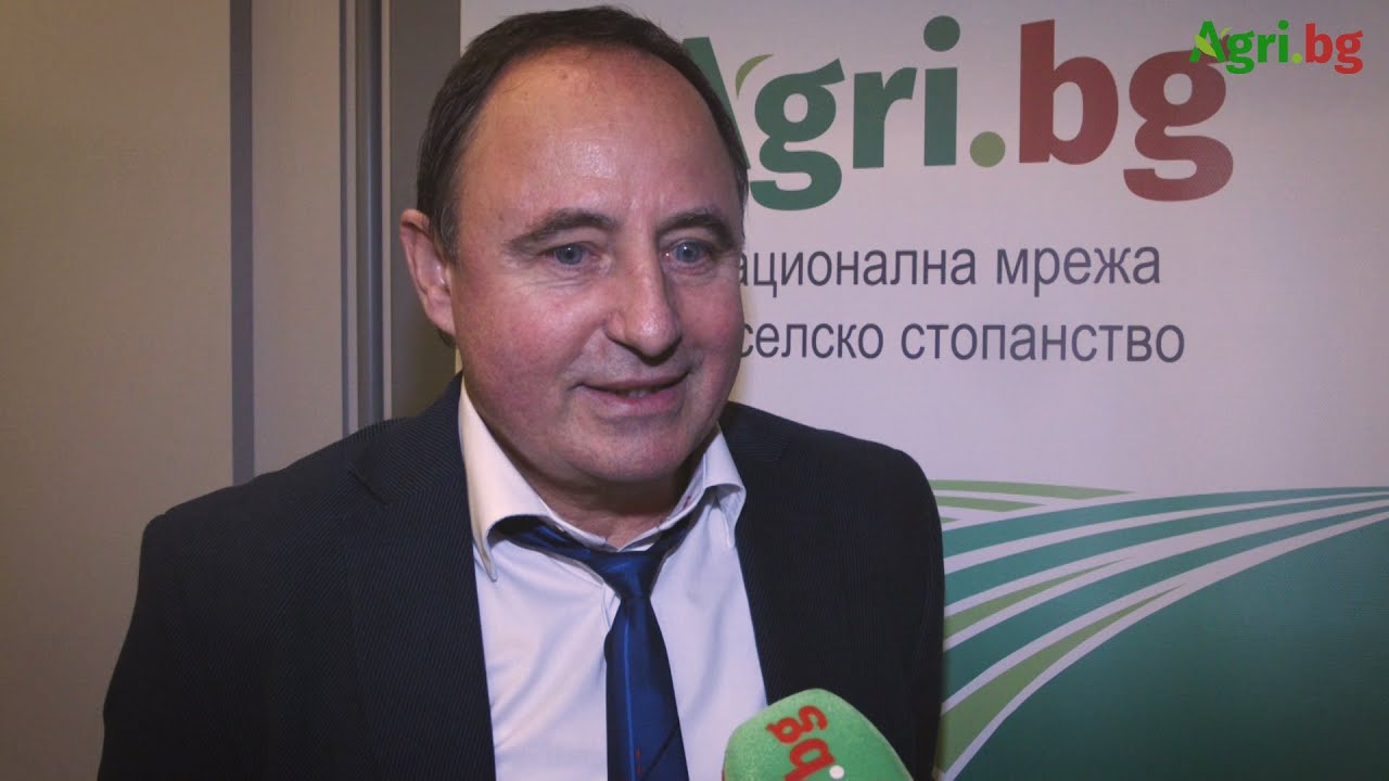 Карина янко одноклассники