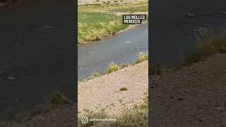 Los Molles, Mendoza.