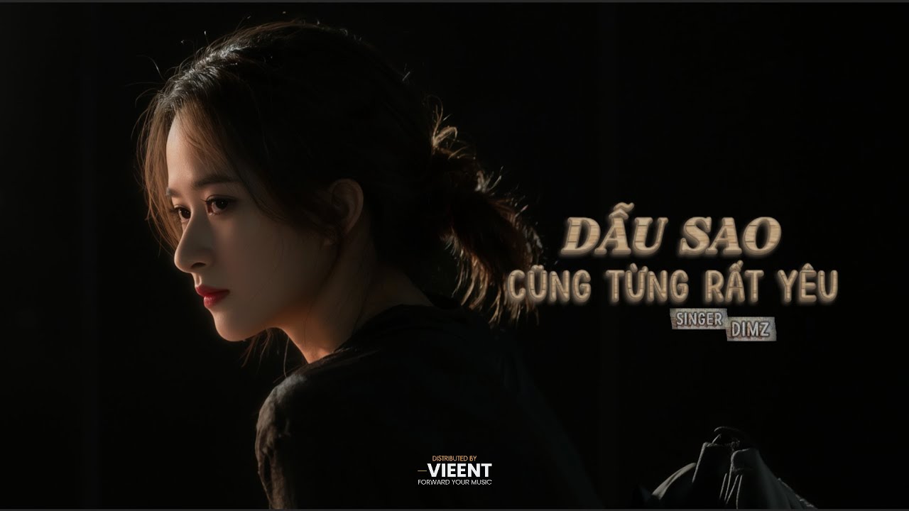 DẪU SAO CŨNG TỪNG RẤT YÊU - DIMZ (Official Video Visualizer)