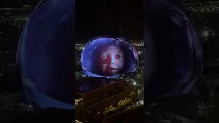 IMG 7736