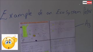 Example of an Ecosystem poster (Grade 8)
