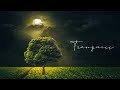 Tranquess | 963Hz + 432Hz Higher Mind Activation &amp; Deep Tranquility