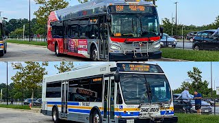 WMATA New Flyer XDE40 7406 on Route 89M and PGCT Transit TheBus ElDorado EZ-Rider 63033 on Route 16