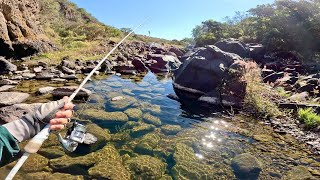 Pesca en Charcos INFESTADOS de Lobinas en la Sierra!
