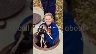 Austin Firefighters Rescue Trapped Baby Deer from Storm Drain #viralshorts #austin