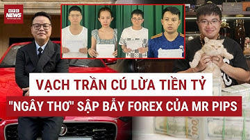 Vạch trần kịch bản “moi tiền” khách chơi forex của nhóm Mr Pips | VTC News