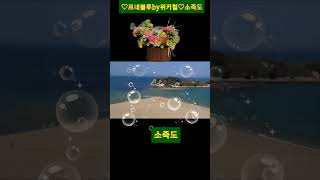 지나야♡박서진♡ 강릉 송지호 해수욕장♡소죽도 《르네블루by위커힐》