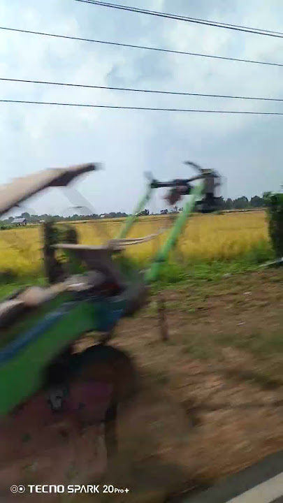 Pemandangan sawah di siang hari #persawahanpedesaan #sawah #pedesaan #sumbawabesar #ytshorts