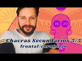 Chacras Secundários 5/5 | frontal/coronário #chacras #chakras #bioenergias