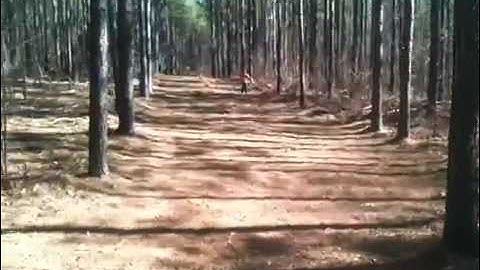 Remote Food Plot Work