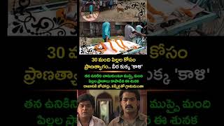 #DogLoyalty​ #HeroDog​ #AnimalInspiration​ #TeluguMotivation​ #EmotionalTelugu​ #BraveAnimal​