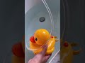 Baby Bath Time Shower Head Hack by Brooke Ashley Hall #Shorts