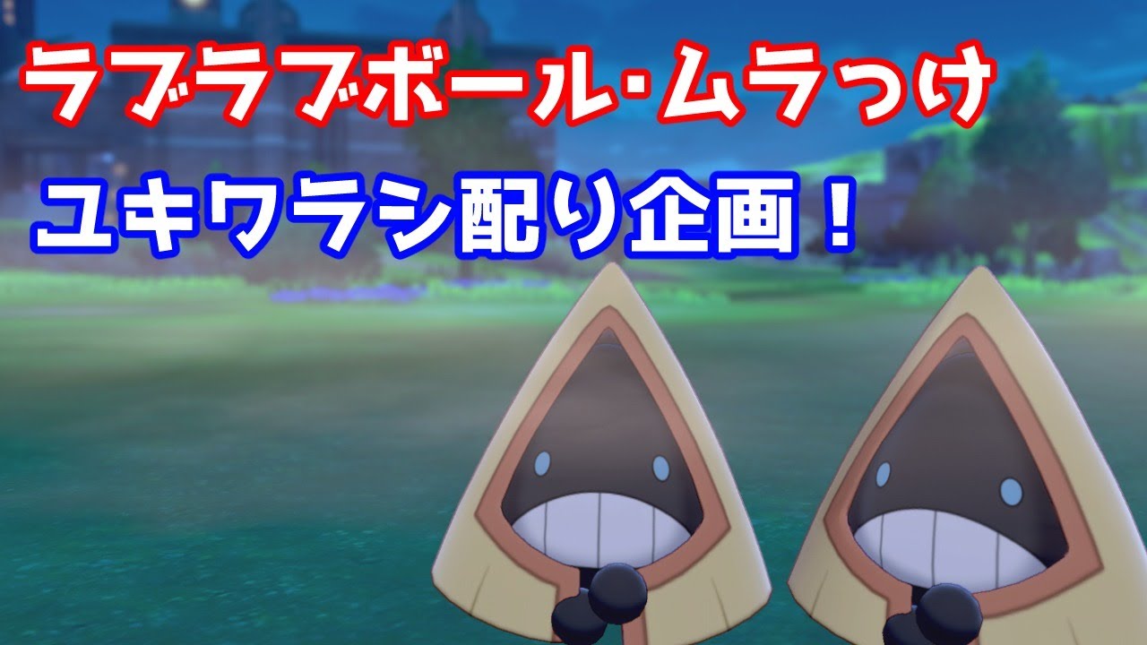 ポケモン剣盾 ラブラブ