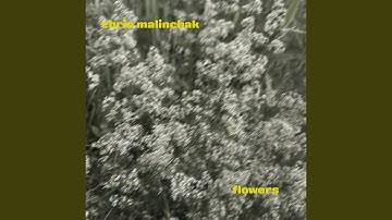 Flowers (Dub)